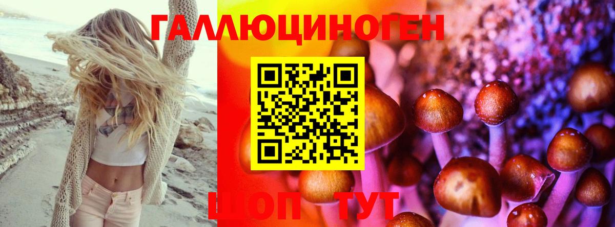 Псилоцибиновые грибы Psilocybe Корсаков