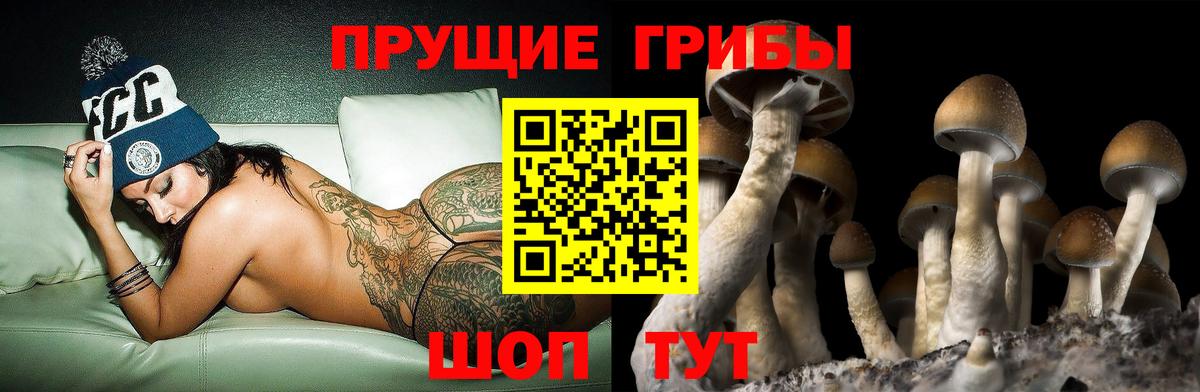 Галлюциногенные грибы MAGIC MUSHROOMS  Галлюциногенные грибы Cubensis  Корсаков  Вход с VPN 